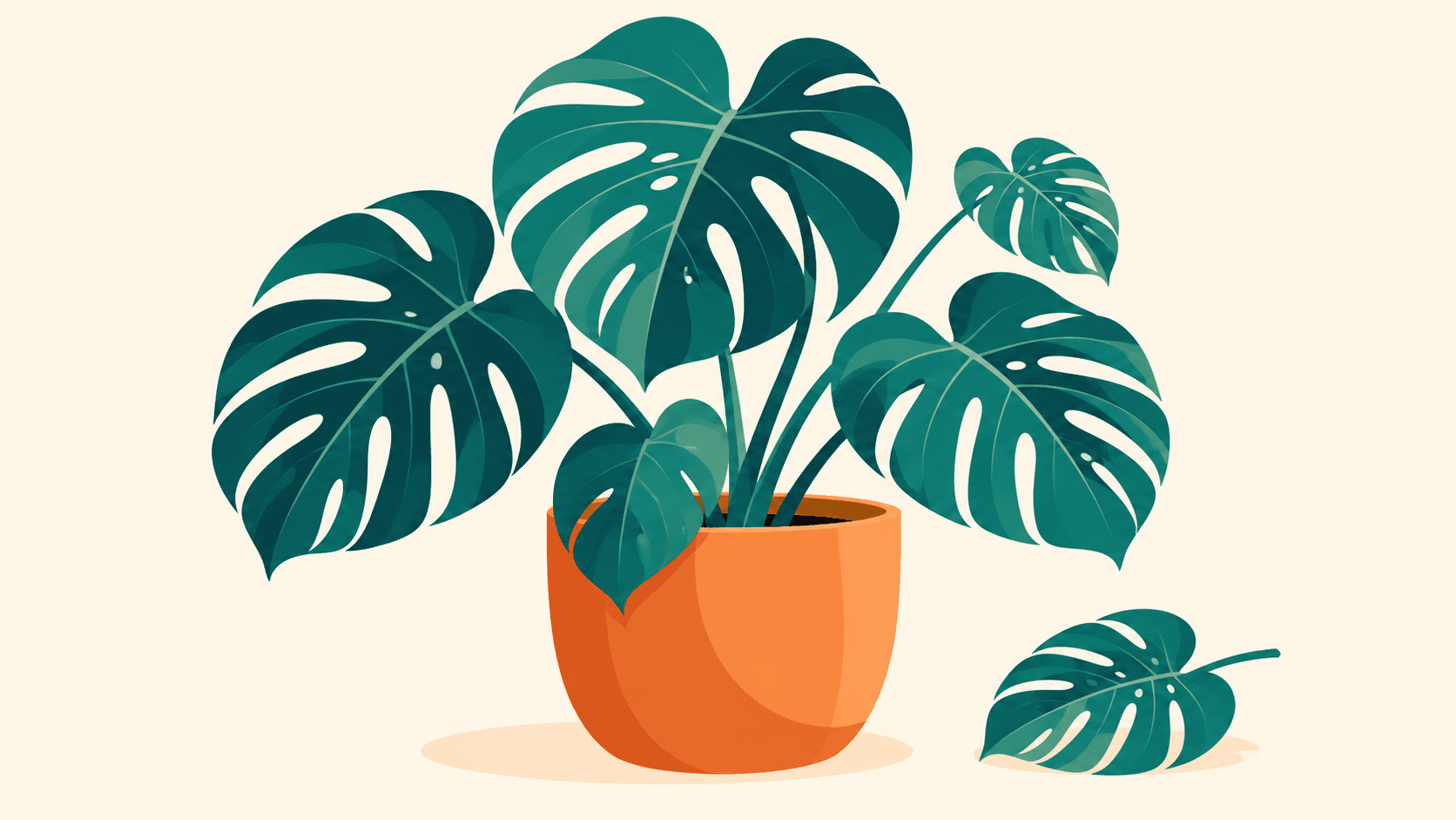 Flat monstera illustration concept for website imagery