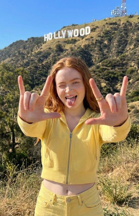 Social Media Post - Photorealistic Portrait of Sadie Sink on the Hollywood Hillside — output