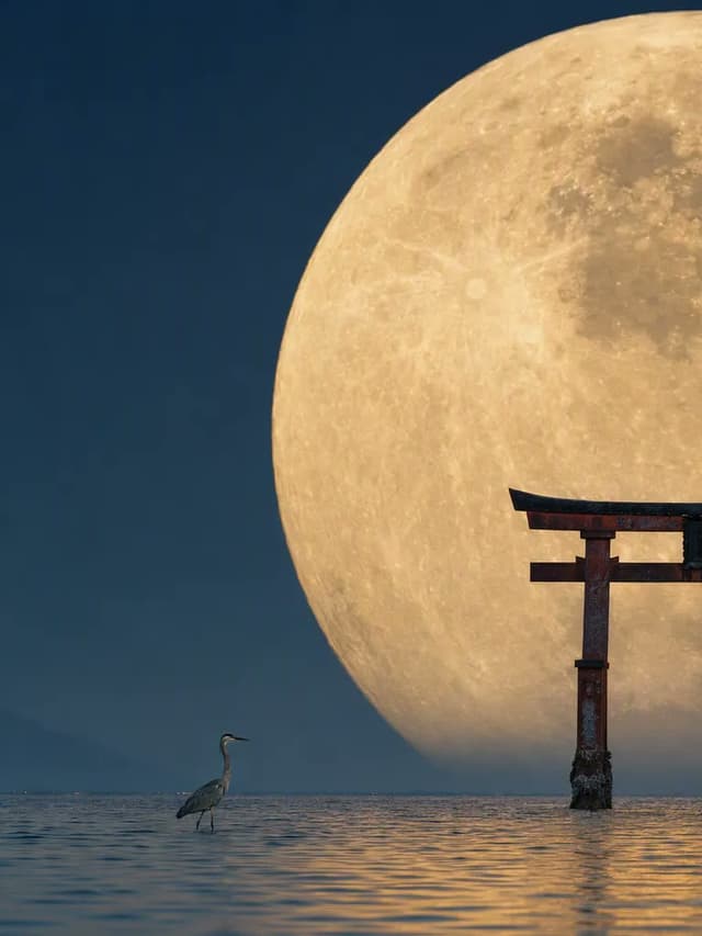 Social Media Post - Telephoto Moon and Torii Gate Photography — output