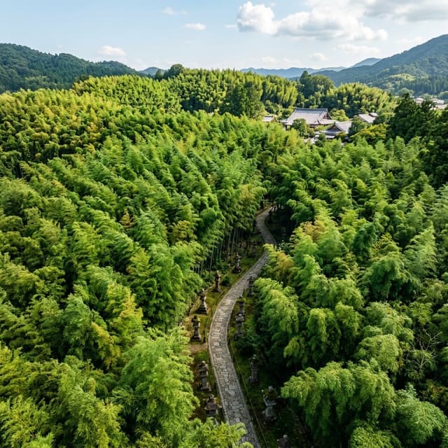 Realistic Aerial Bamboo Grove Landscape — output