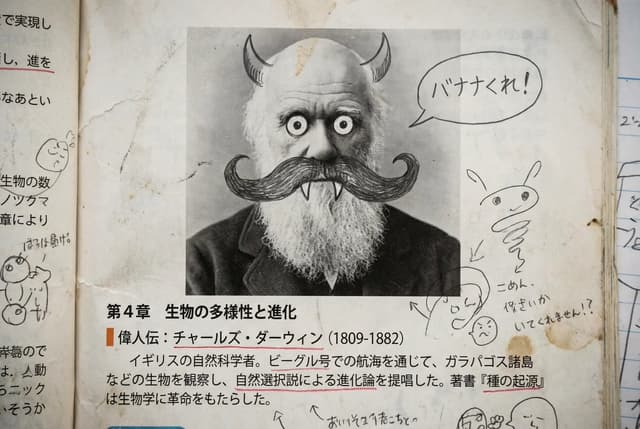 Middle schooler doodles on history textbook pages — output