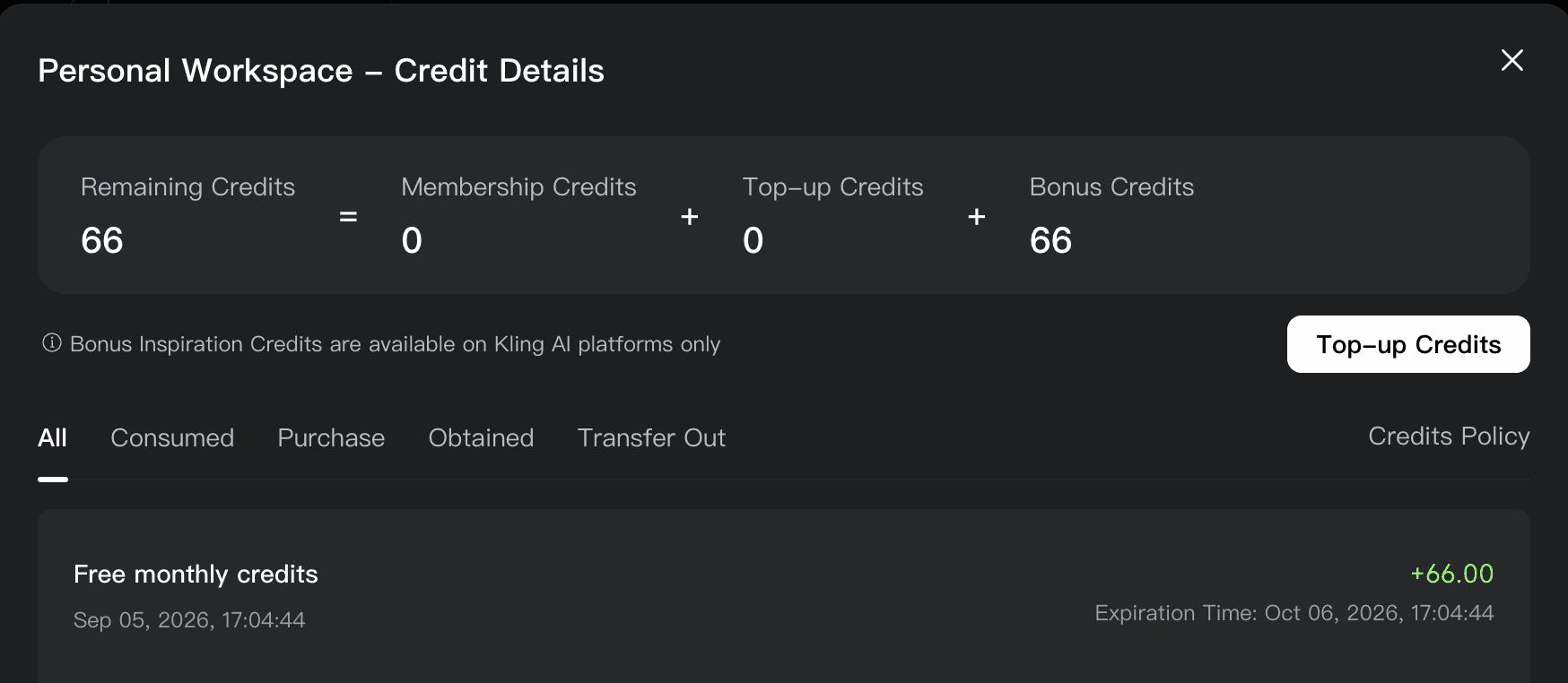 Kling account credit details showing 66 promotional credits